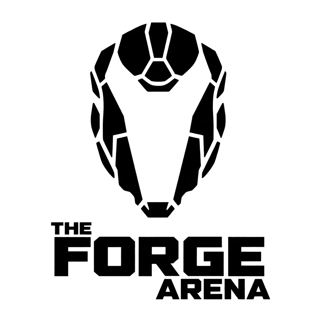 The Forge Arena logo
